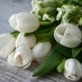 bouquet of fresh white flowers placed on wooden surface