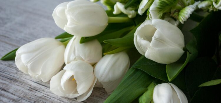 bouquet of fresh white flowers placed on wooden surface